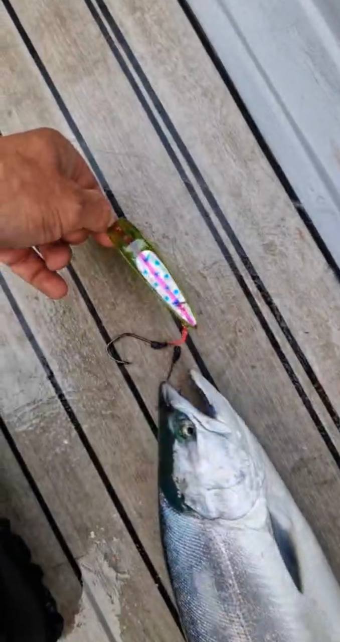 Блесна троллинговая Assist № 5