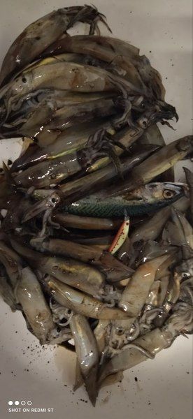 Кальмарный воблер BLOODSHOT GREEN (100мм 27гр)