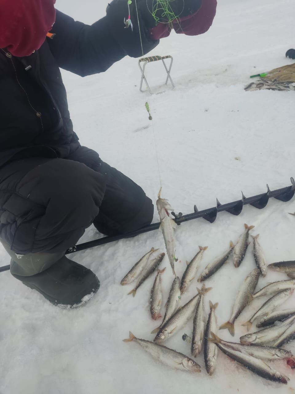 Набор утяжелённых блёсен с крючком из нержавейки с зазубриной на окуня/сига/навагу