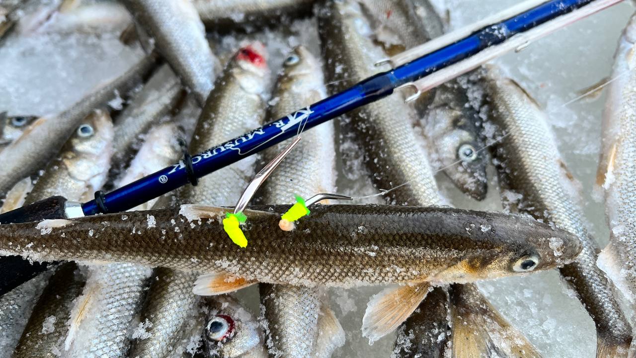 Блесна Андромеда (золото 18 карат)