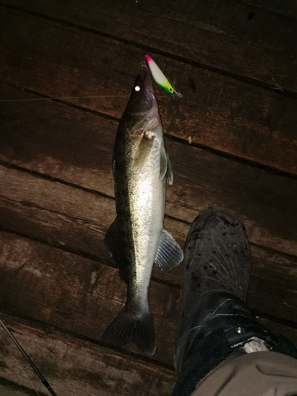 Воблер 80 мм 13 гр № 8 (тройник #6)