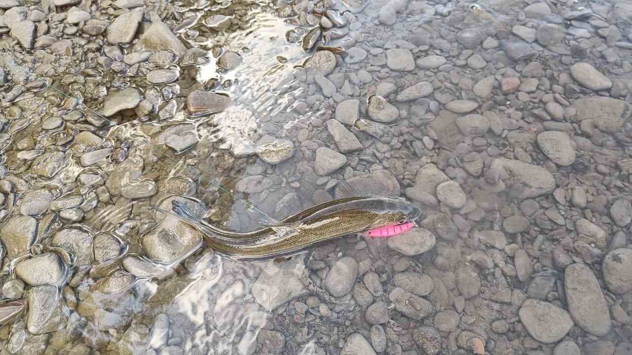 Воблер 60 мм № 59