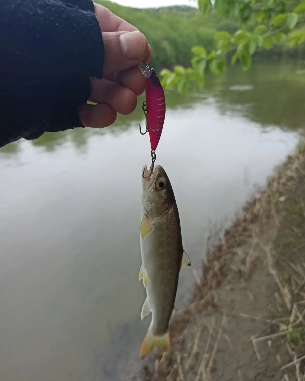 Воблер 55 мм № 20