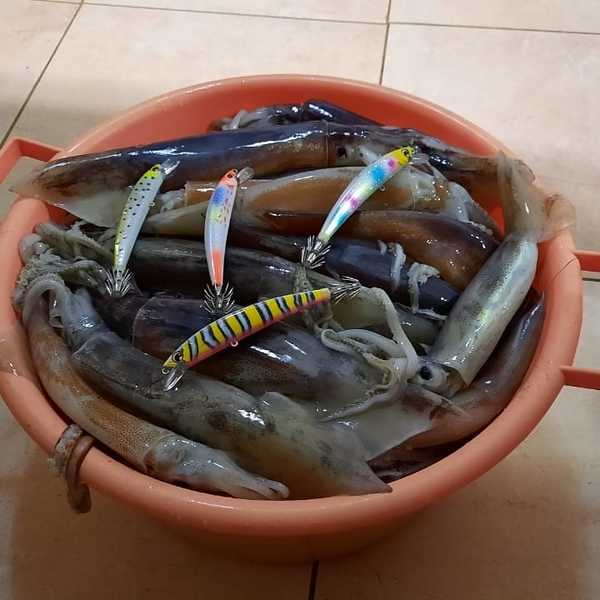 Кальмарный воблер HUNTER