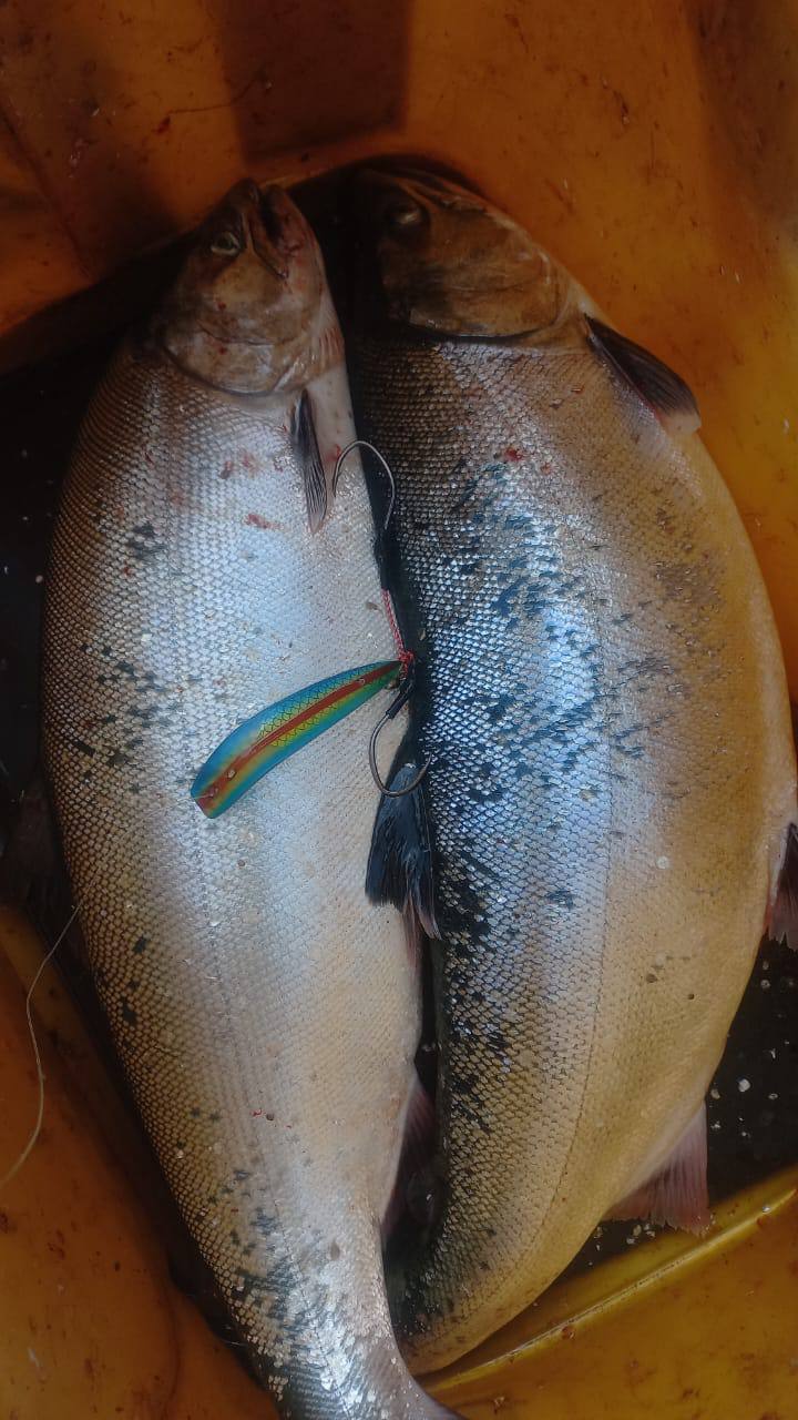 Блесна троллинговая Assist № 131