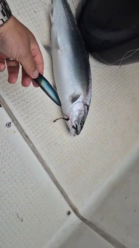 Блесна троллинговая Assist № 136