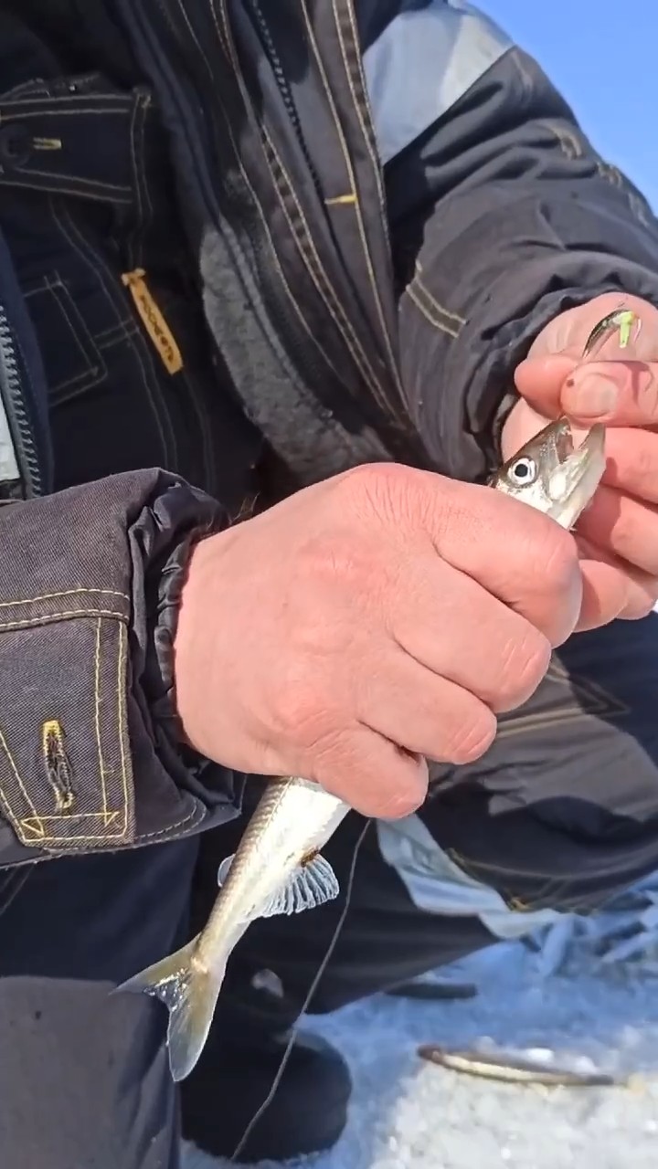 Блесна Посейдон