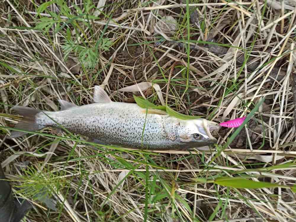 Воблер 55 мм № 20