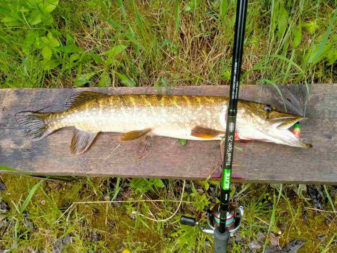 Воблер 55 мм № 29