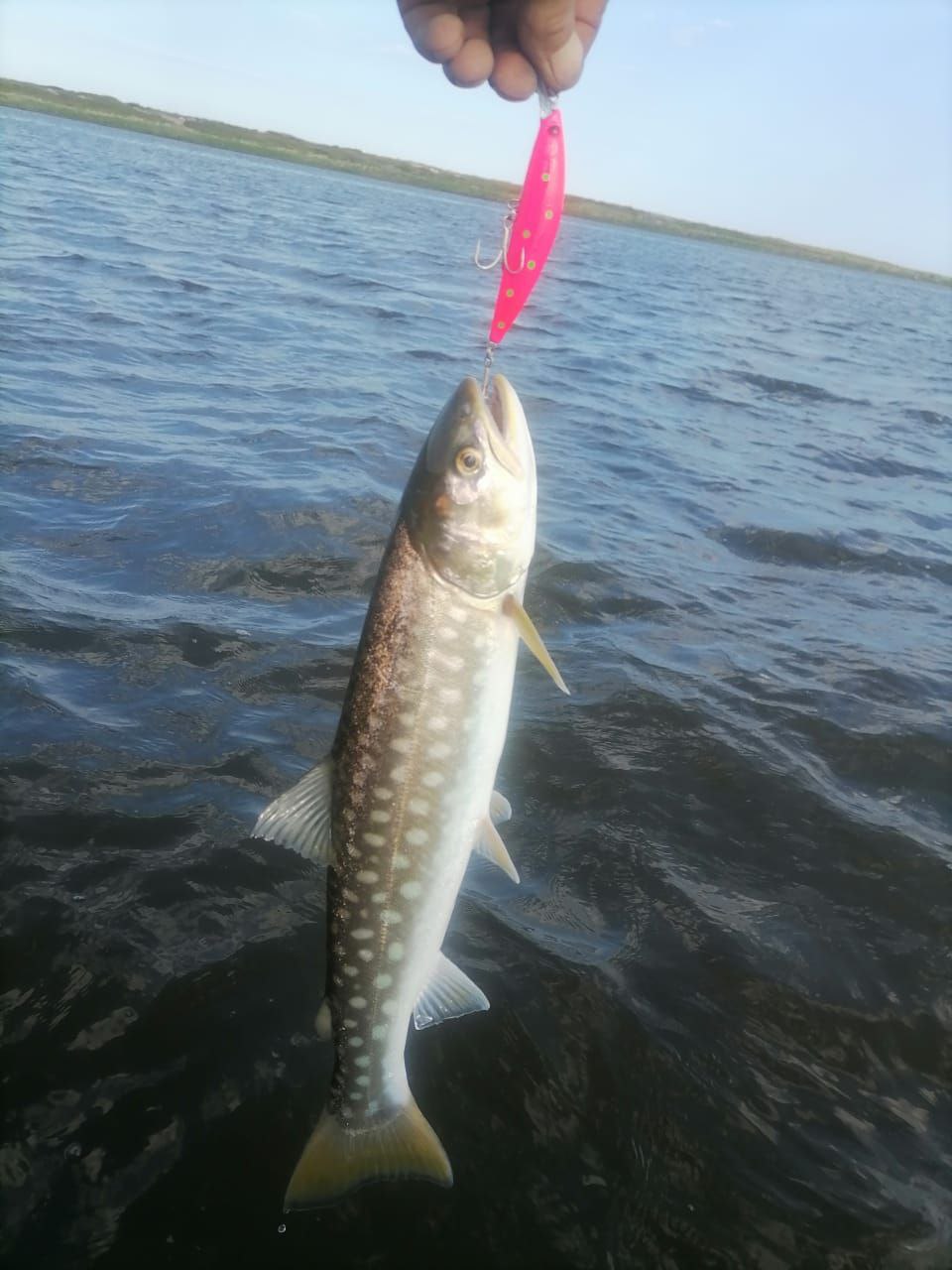 Воблер 90 мм 25 гр № 23