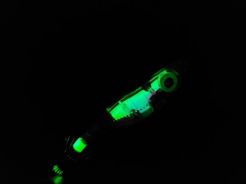 Кальмарница Rainbow Fish (NEW)