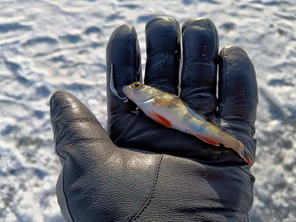 Блесна Охотник-мормышка