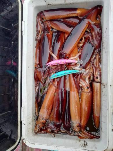 Кальмарный воблер Bloodshot Blue