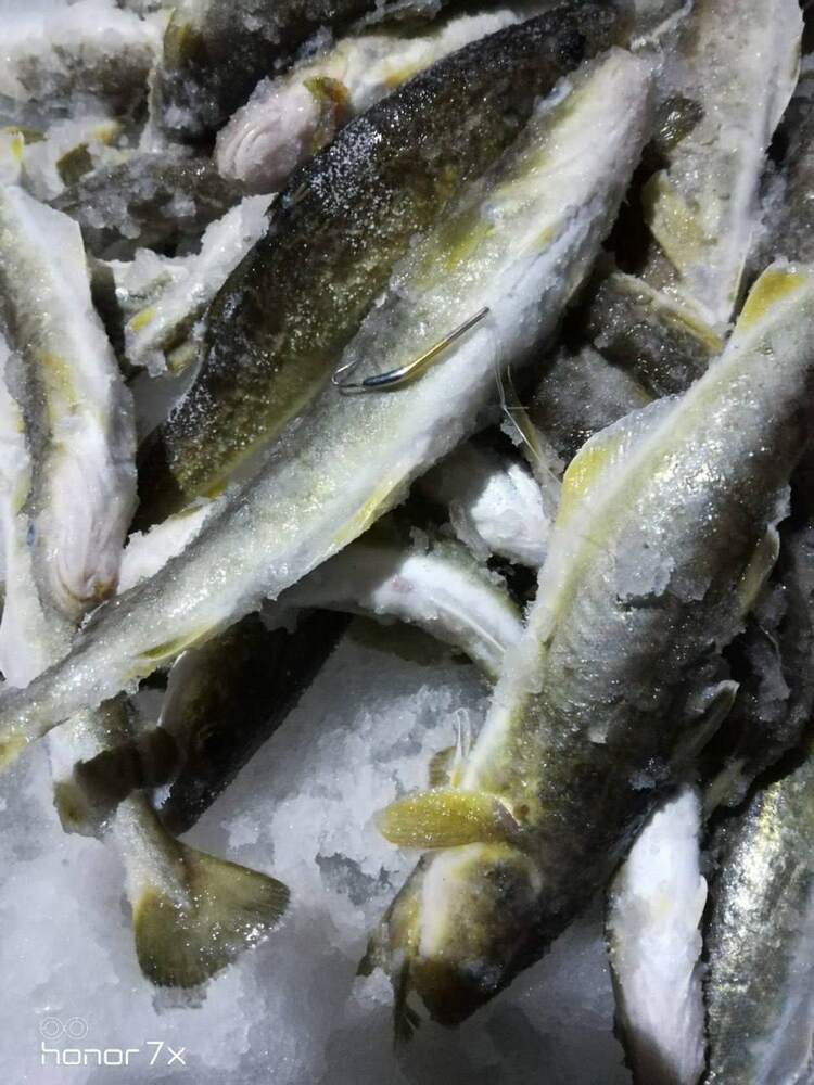 Набор блёсен "Приморье" на корюшку (зубаря), навагу