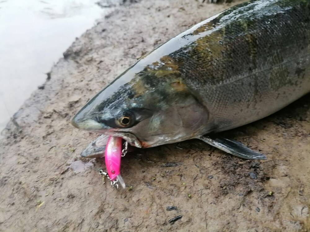 Воблер 55 мм № 51