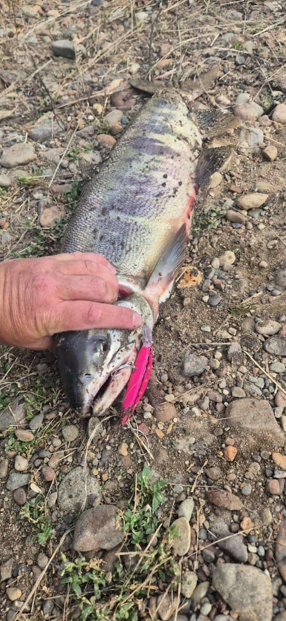 Воблер 80 мм 13 гр № 18