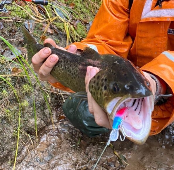 Воблер 55 мм № 35