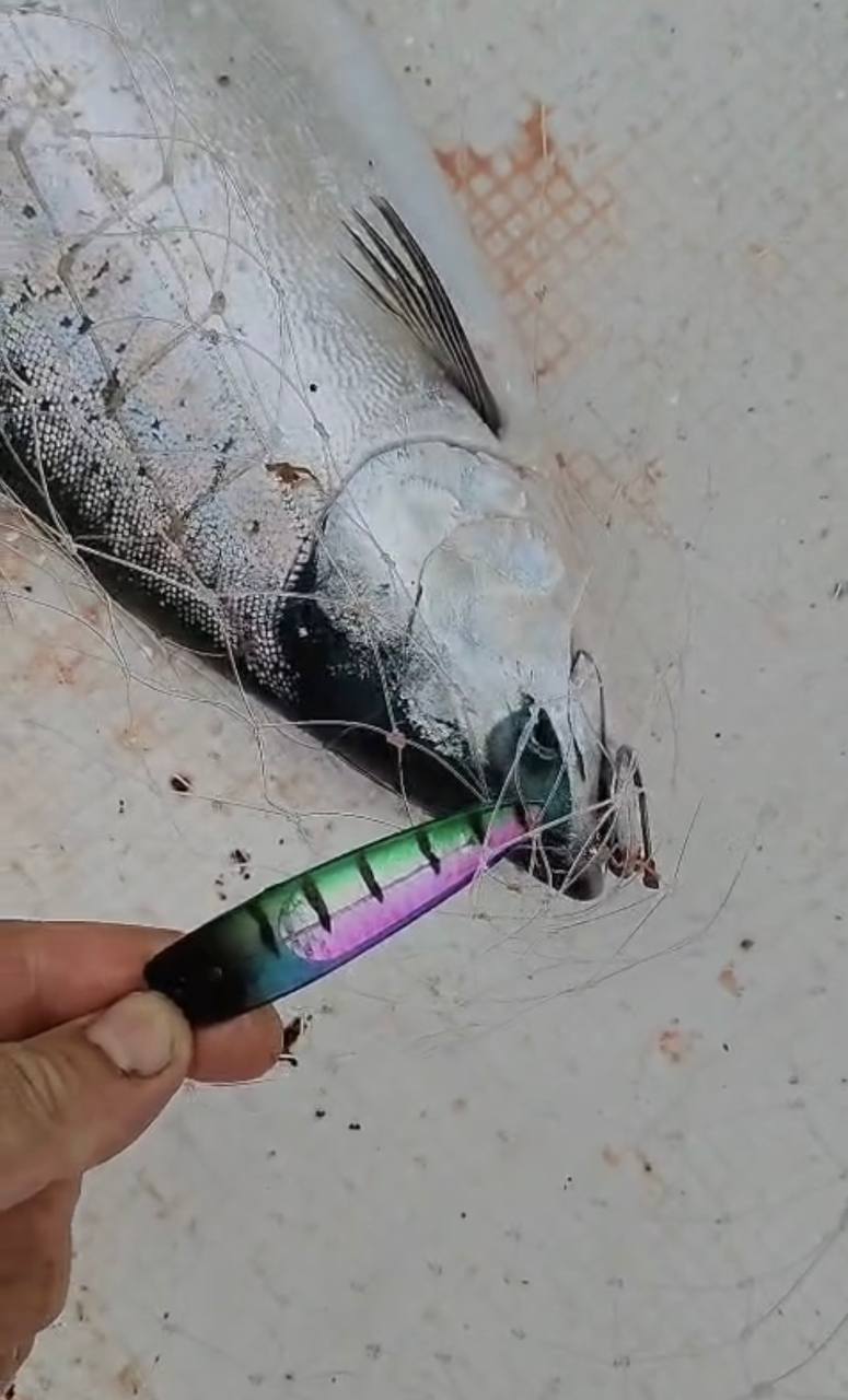 Блесна троллинговая неоснащенная № 106 (NEW)