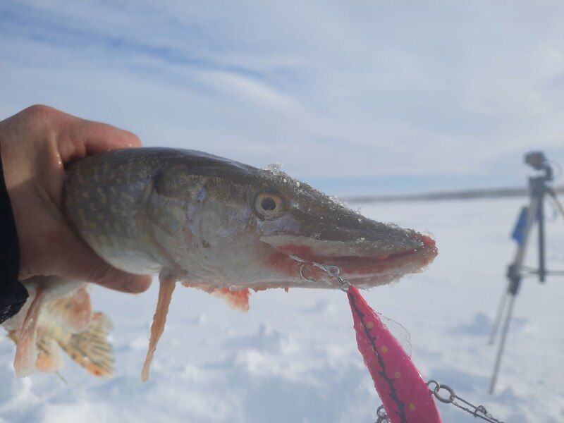 Раттлин 60 мм 14,5 гр № 18