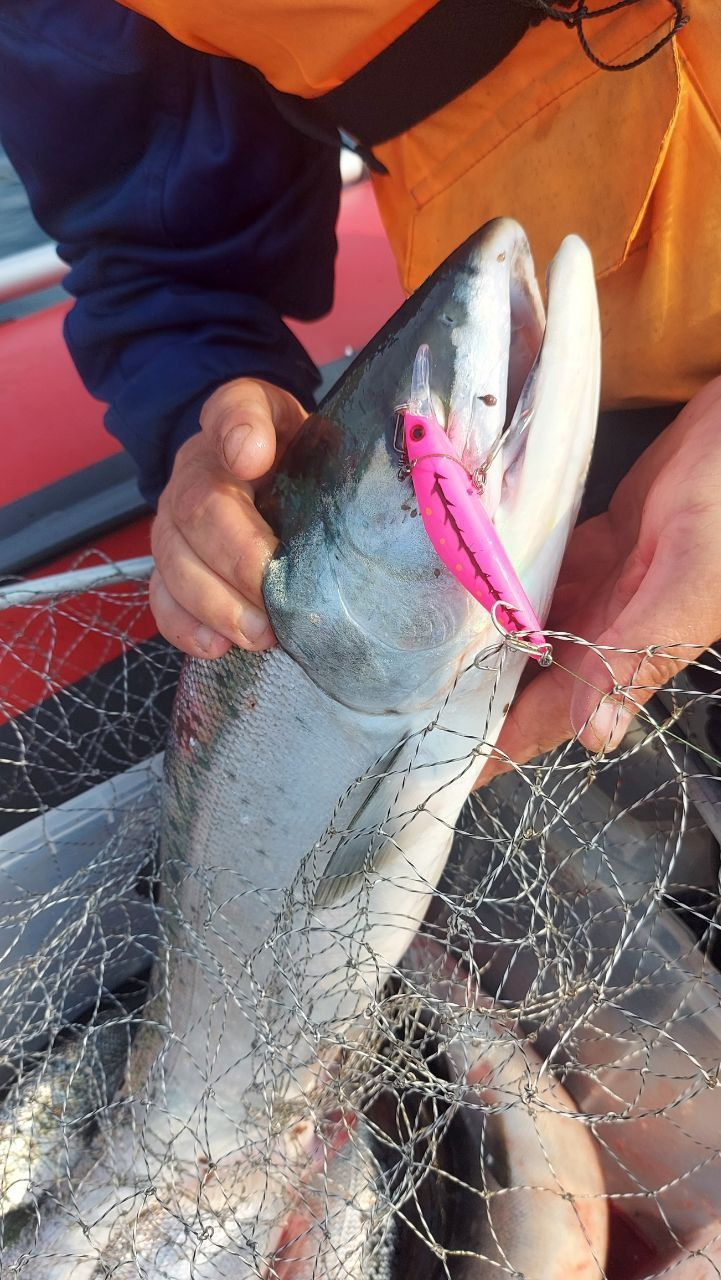  Воблер 80 мм 13 гр № 18 (тройник #6)