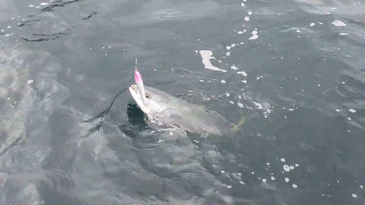 Стикбейт № 1