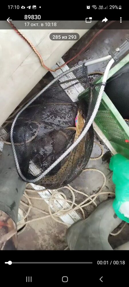 Воблер 80 мм 13 гр № 75