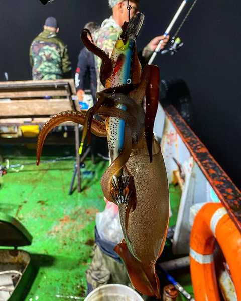 Кальмарный воблер FISHKA