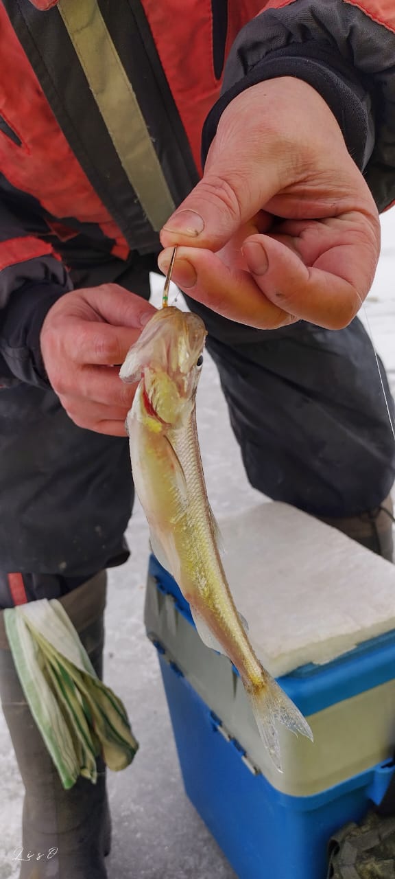 Блесна Техас