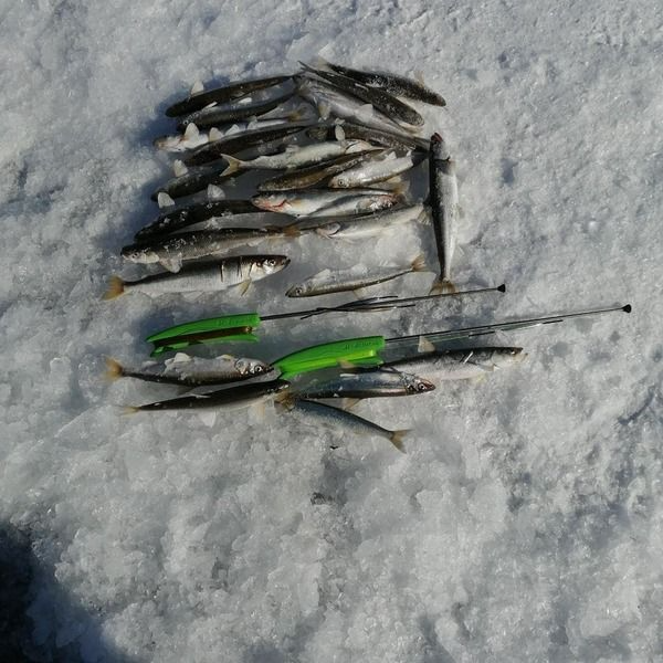 Комбайн на Зубаря/Навагу