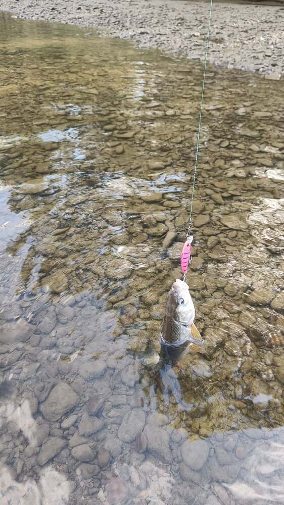 Воблер 60 мм № 59