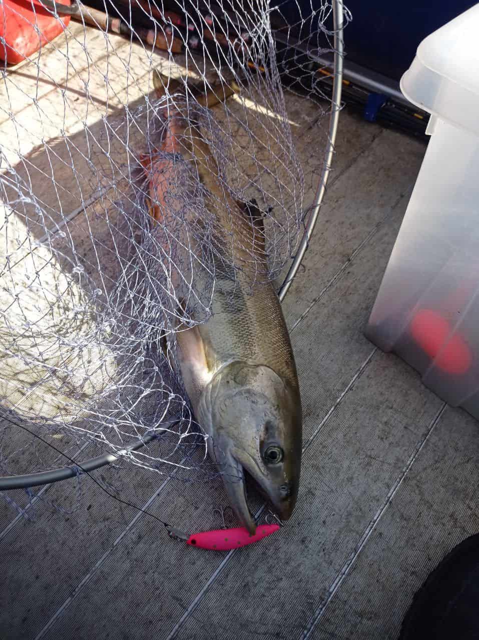 Воблер 90 мм 25 гр № 23