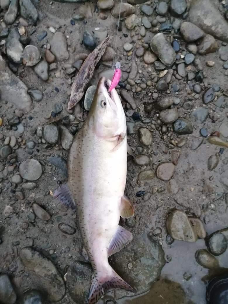 Воблер 55 мм № 18