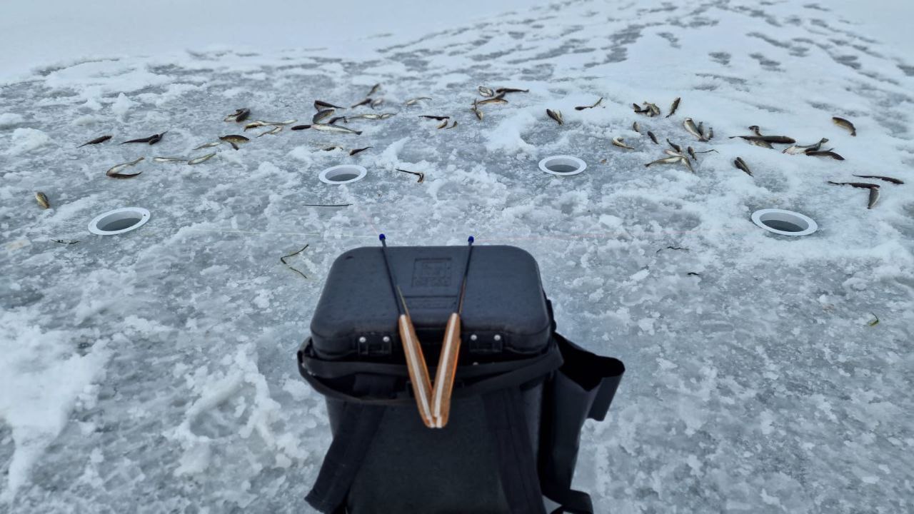 Блесна Андромеда (золото 18 карат)