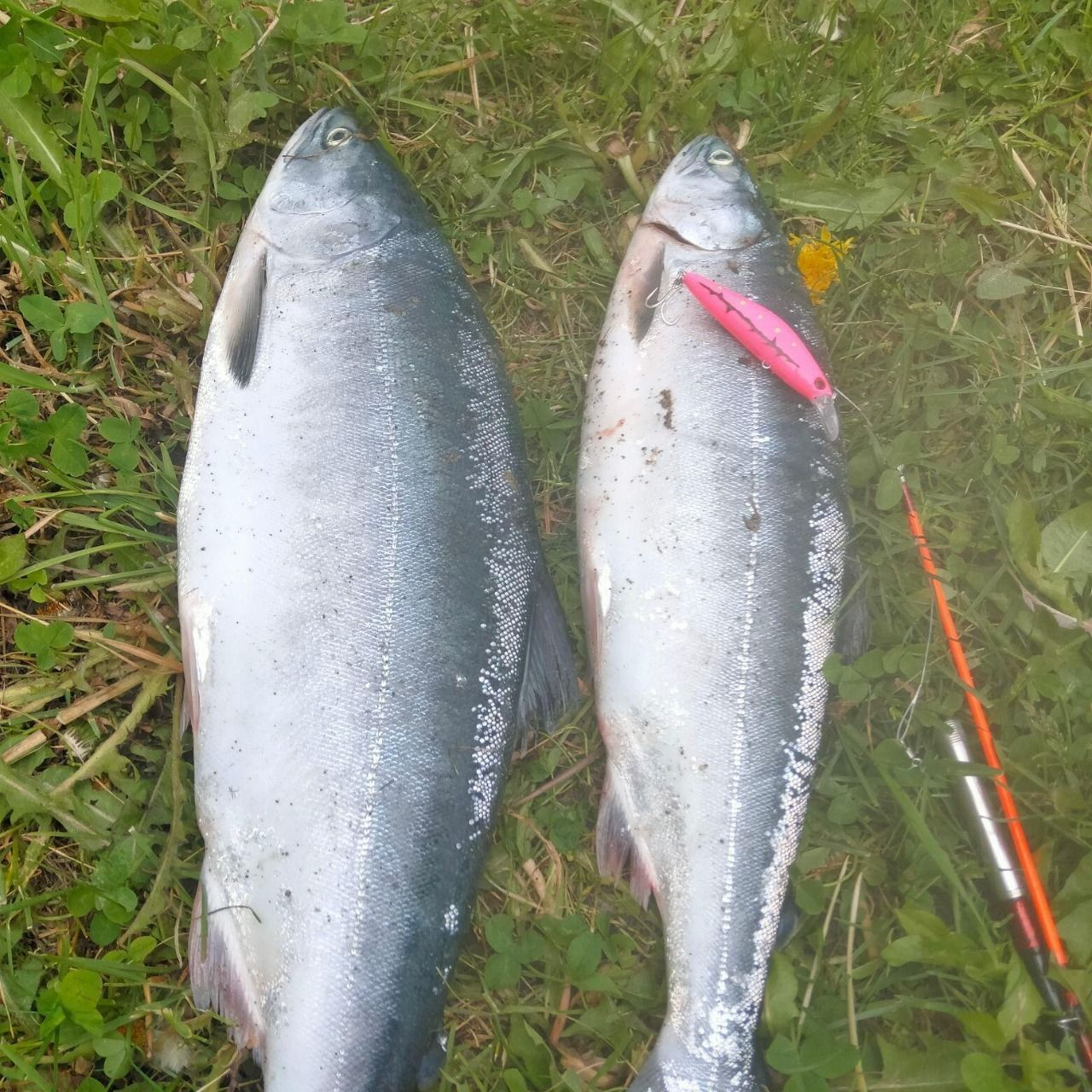  Воблер 80 мм 13 гр № 18 (тройник #6)