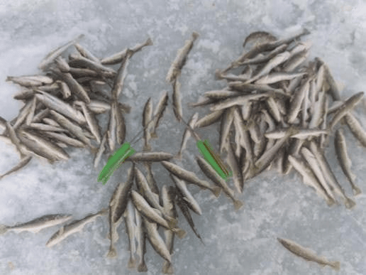 Комбайн на Зубаря/Навагу