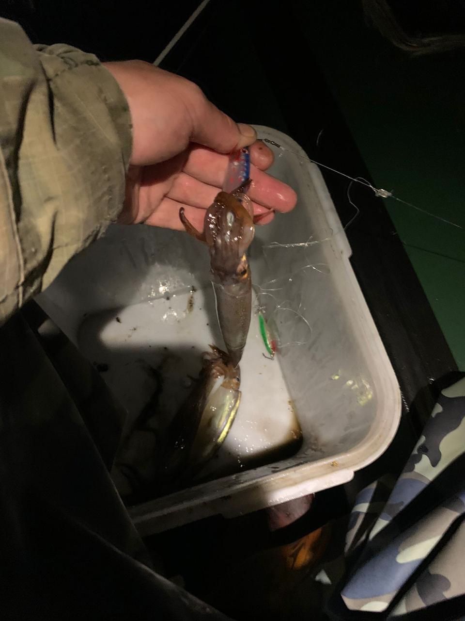 Кальмарница Blue Bloody