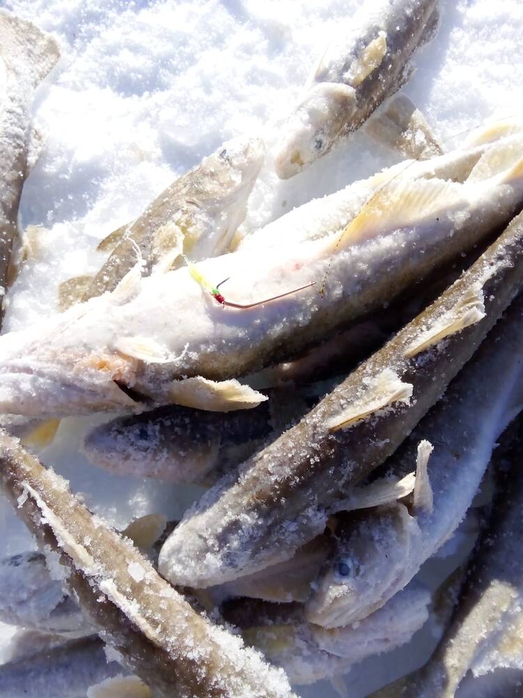 Блесна Вега 3 см