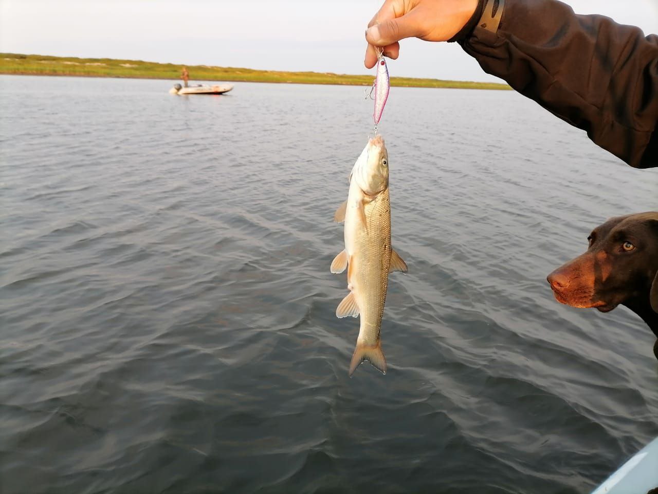 Воблер 80 мм 13 гр № 44