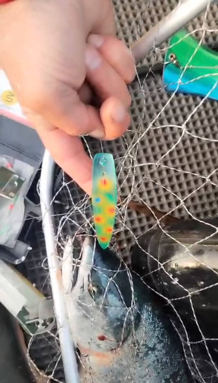 Блесна троллинговая Assist № 3