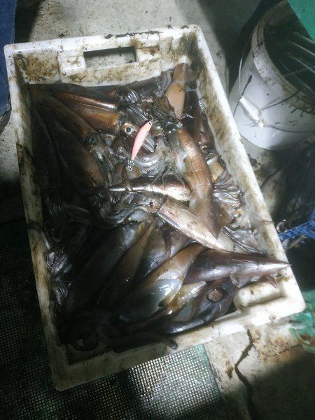 Набор на кальмара "Охотник"