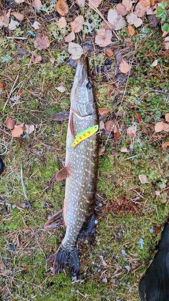 Раттлин 88 мм 26 гр № 56