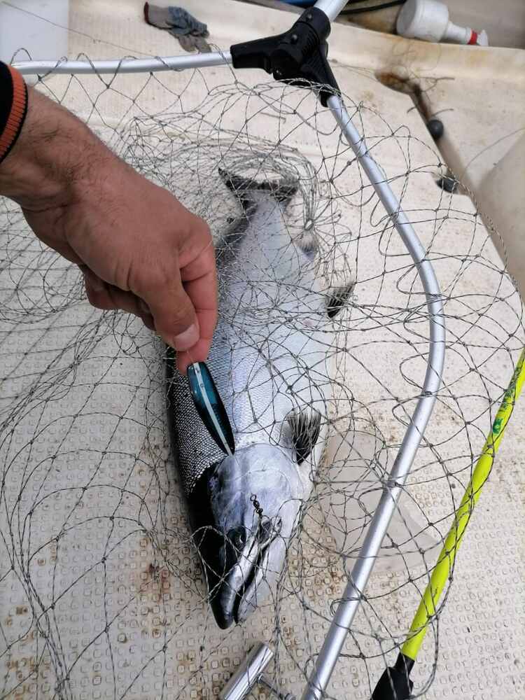 Блесна троллинговая Assist № 109