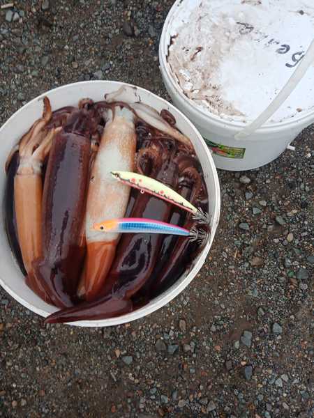 Кальмарный воблер Bloodshot Green