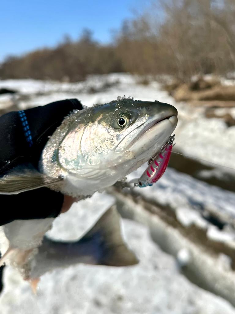 Воблер 55 мм № 35