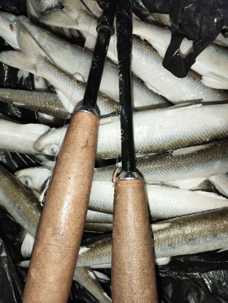 Блесна Огонь 0,8 см UV-вставка