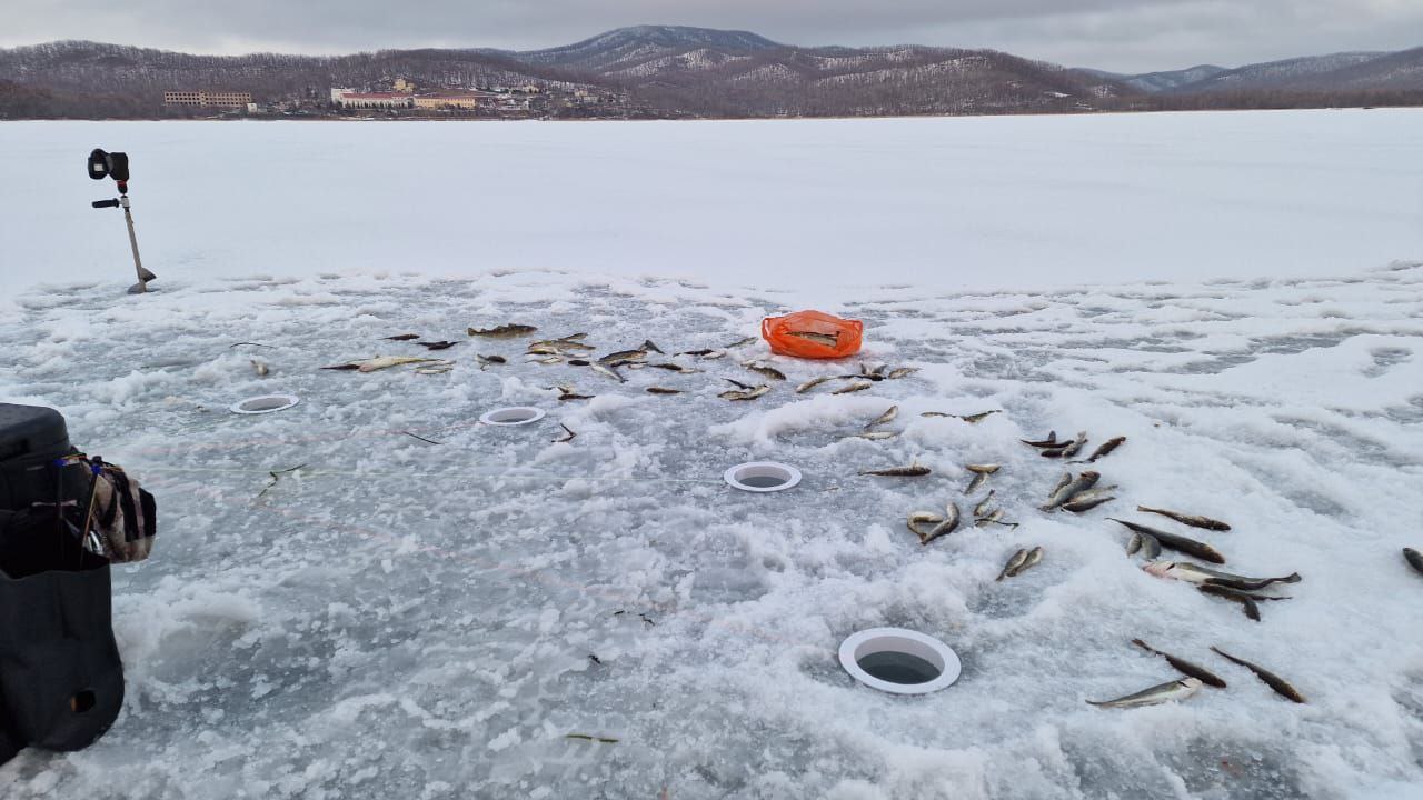 Блесна Андромеда (золото 18 карат)