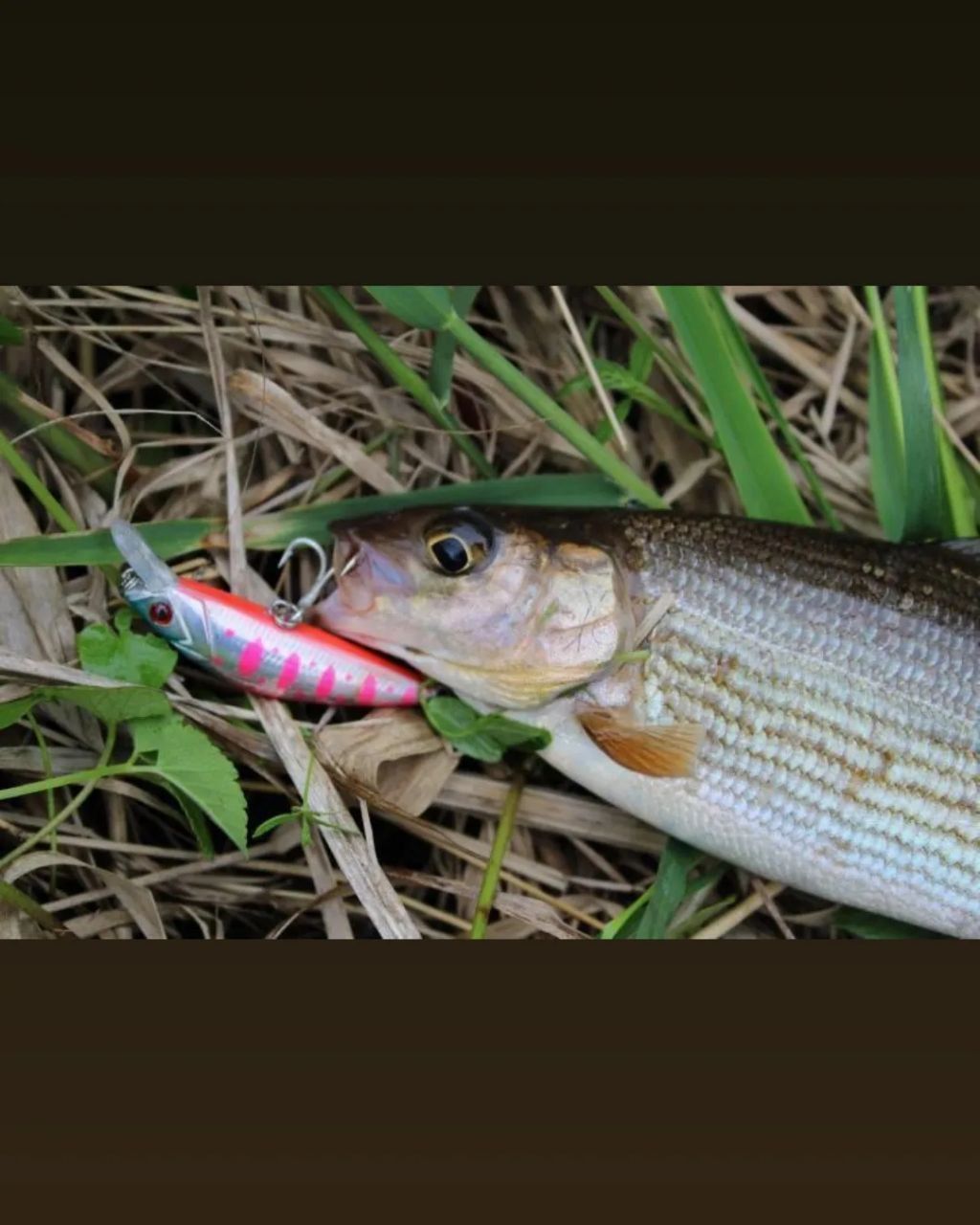 Воблер 55 мм № 35