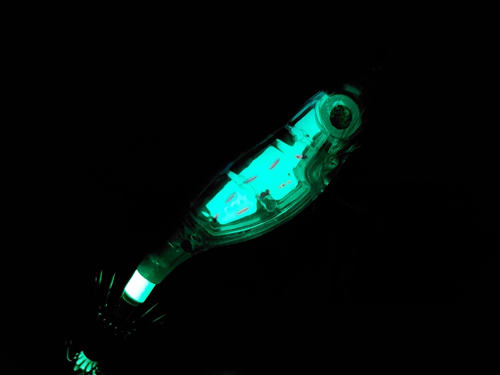 Кальмарница Blue Bloody (NEW)