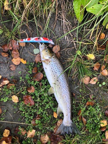 Воблер Virus 110 мм 17 гр.