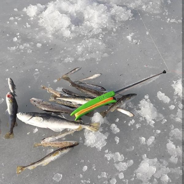 Комбайн на Зубаря/Навагу